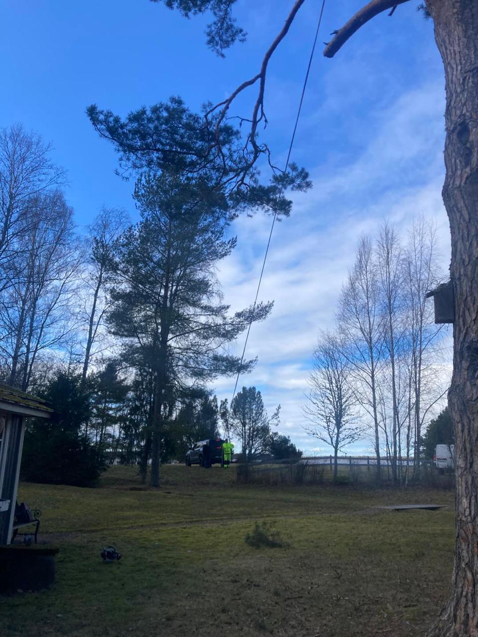 Trädfällning Örebro