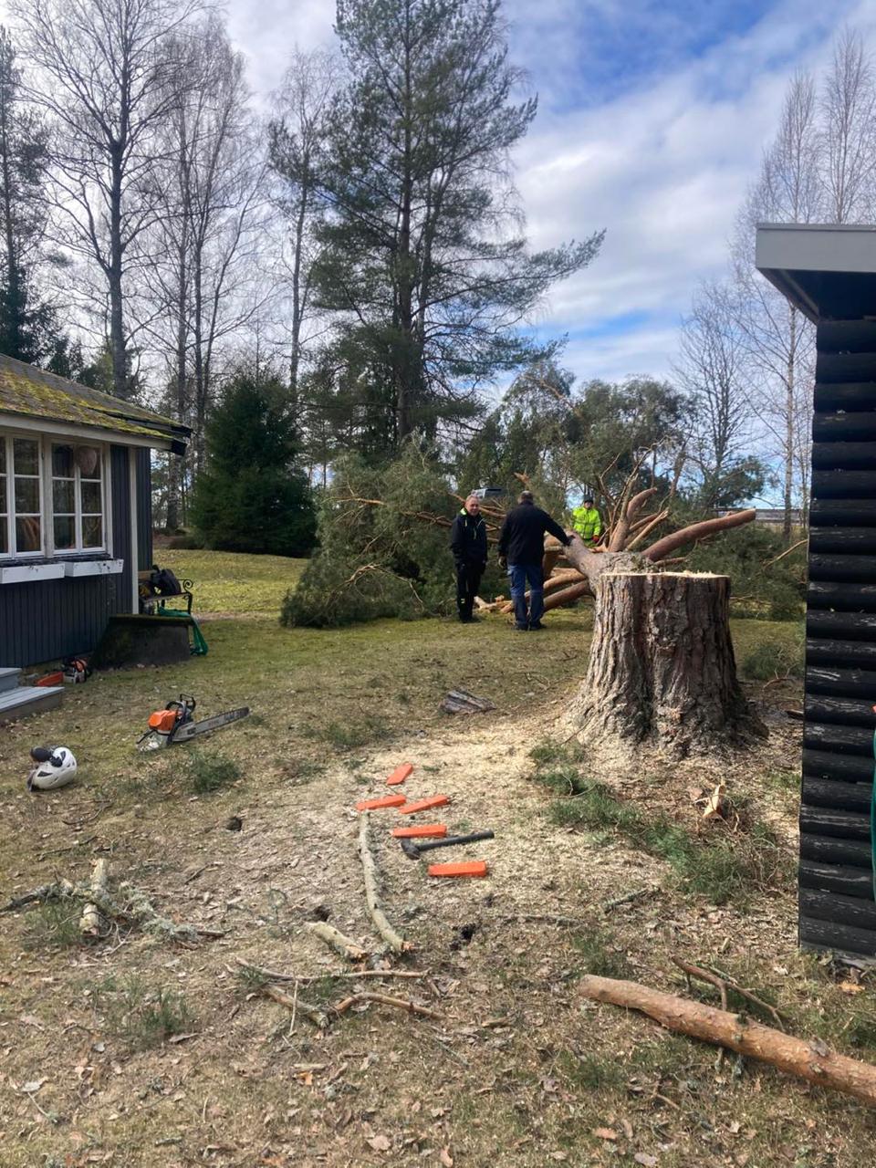 Trädfällning Örebro